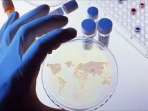 最新預測報告 未來全球石墨烯的九大發(fā)展趨勢